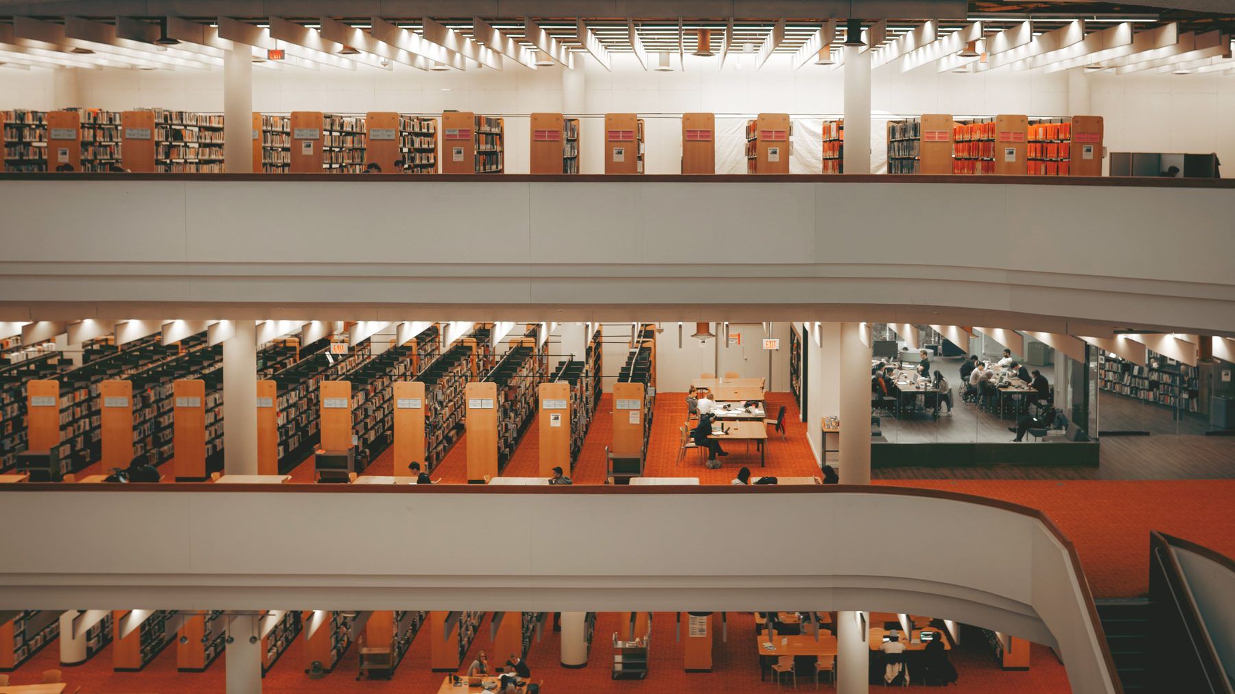The WorldCorp reading room, where every report we have published is kept in a single volume